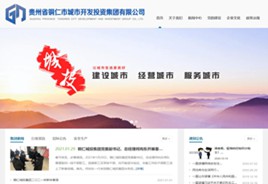 临江城市开发投资集团有限公司