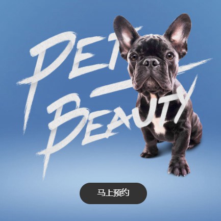 临江宠物中心小程序开发